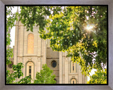 Load image into Gallery viewer, Salt Lake Brilliant Light Gallery Wrap
