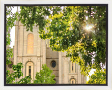 Load image into Gallery viewer, Salt Lake Brilliant Light Gallery Wrap
