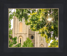 Load image into Gallery viewer, Salt Lake Brilliant Light
