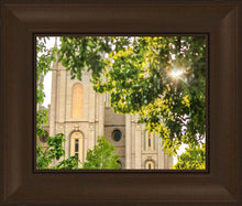 Load image into Gallery viewer, Salt Lake Brilliant Light
