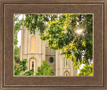 Load image into Gallery viewer, Salt Lake Brilliant Light
