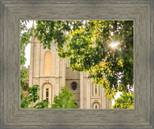 Load image into Gallery viewer, Salt Lake Brilliant Light
