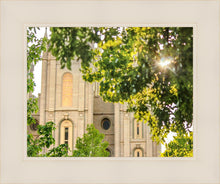 Load image into Gallery viewer, Salt Lake Brilliant Light
