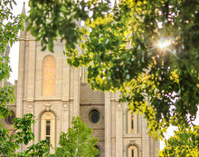 Load image into Gallery viewer, Salt Lake Brilliant Light
