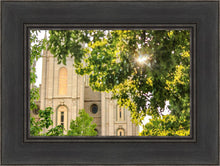 Load image into Gallery viewer, Salt Lake Brilliant Light
