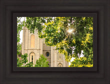 Load image into Gallery viewer, Salt Lake Brilliant Light
