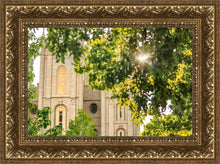 Load image into Gallery viewer, Salt Lake Brilliant Light
