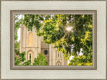 Load image into Gallery viewer, Salt Lake Brilliant Light
