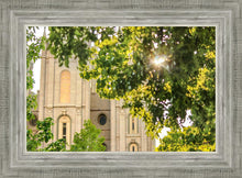 Load image into Gallery viewer, Salt Lake Brilliant Light
