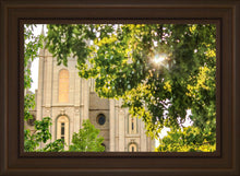 Load image into Gallery viewer, Salt Lake Brilliant Light

