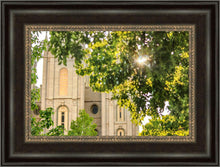 Load image into Gallery viewer, Salt Lake Brilliant Light
