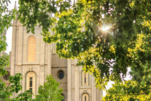 Load image into Gallery viewer, Salt Lake Brilliant Light Gallery Wrap
