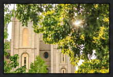 Load image into Gallery viewer, Salt Lake Brilliant Light Gallery Wrap
