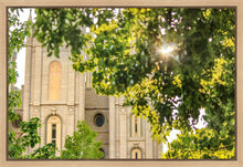 Load image into Gallery viewer, Salt Lake Brilliant Light Gallery Wrap
