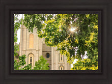 Load image into Gallery viewer, Salt Lake Brilliant Light
