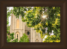 Load image into Gallery viewer, Salt Lake Brilliant Light
