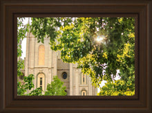 Load image into Gallery viewer, Salt Lake Brilliant Light
