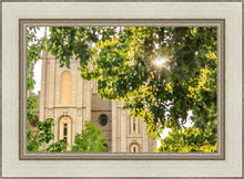Load image into Gallery viewer, Salt Lake Brilliant Light
