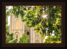 Load image into Gallery viewer, Salt Lake Brilliant Light
