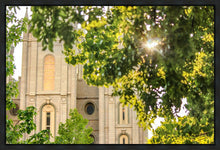 Load image into Gallery viewer, Salt Lake Brilliant Light Gallery Wrap
