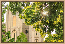 Load image into Gallery viewer, Salt Lake Brilliant Light Gallery Wrap

