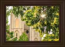 Load image into Gallery viewer, Salt Lake Brilliant Light
