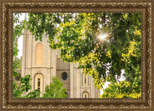 Load image into Gallery viewer, Salt Lake Brilliant Light
