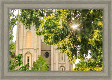 Load image into Gallery viewer, Salt Lake Brilliant Light
