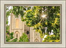 Load image into Gallery viewer, Salt Lake Brilliant Light
