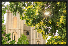 Load image into Gallery viewer, Salt Lake Brilliant Light Gallery Wrap
