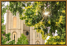 Load image into Gallery viewer, Salt Lake Brilliant Light Gallery Wrap
