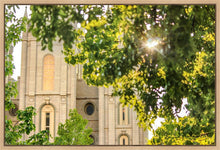 Load image into Gallery viewer, Salt Lake Brilliant Light Gallery Wrap
