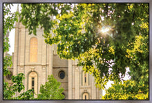 Load image into Gallery viewer, Salt Lake Brilliant Light Gallery Wrap
