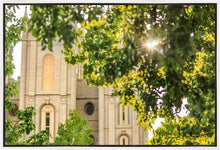 Load image into Gallery viewer, Salt Lake Brilliant Light Gallery Wrap
