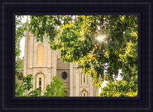 Load image into Gallery viewer, Salt Lake Brilliant Light
