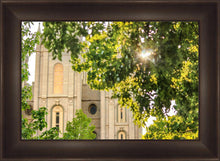 Load image into Gallery viewer, Salt Lake Brilliant Light
