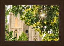 Load image into Gallery viewer, Salt Lake Brilliant Light
