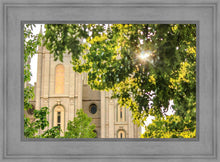 Load image into Gallery viewer, Salt Lake Brilliant Light
