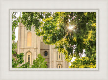 Load image into Gallery viewer, Salt Lake Brilliant Light
