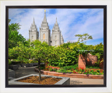 Load image into Gallery viewer, Salt Lake Eden Gallery Wrap
