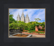 Load image into Gallery viewer, Salt Lake Eden
