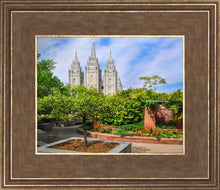 Load image into Gallery viewer, Salt Lake Eden
