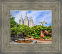 Load image into Gallery viewer, Salt Lake Eden
