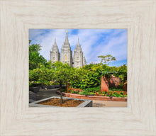 Load image into Gallery viewer, Salt Lake Eden
