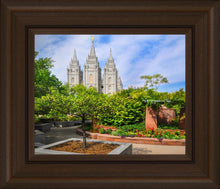 Load image into Gallery viewer, Salt Lake Eden
