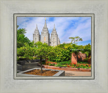 Load image into Gallery viewer, Salt Lake Eden

