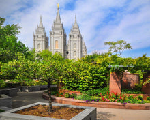 Load image into Gallery viewer, Salt Lake Eden
