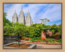 Load image into Gallery viewer, Salt Lake Eden Gallery Wrap
