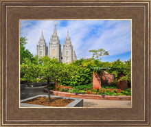 Load image into Gallery viewer, Salt Lake Eden
