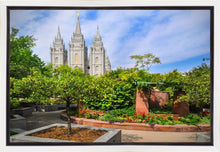 Load image into Gallery viewer, Salt Lake Eden Gallery Wrap
